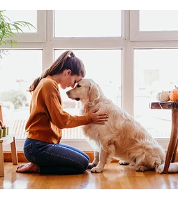 Miért pont a Pawbioticum? – Az okos gondoskodás új generációja