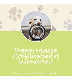 Hogyan válassz étrend-kiegészítőt kedvencednek – 5 szempont, amit mindenképp vegyél figyelembe