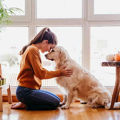 Miért pont a Pawbioticum? – Az okos gondoskodás új generációja