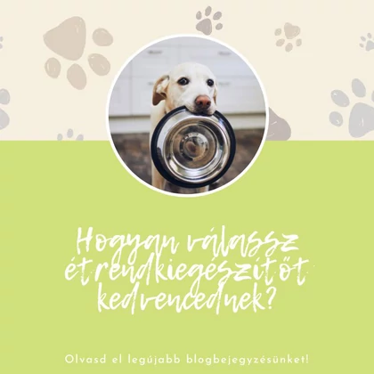 Hogyan válassz étrend-kiegészítőt kedvencednek – 5 szempont, amit mindenképp vegyél figyelembe