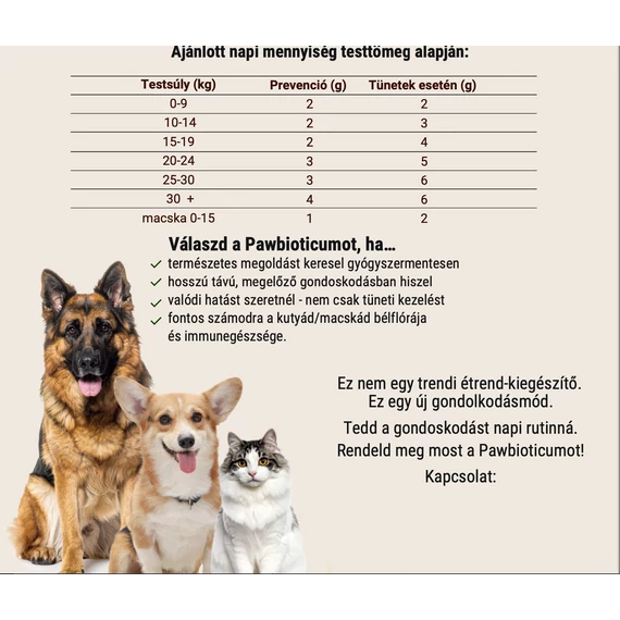 Termékkatalógus (5 db/csomag)